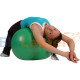 MSD Pack Fitball